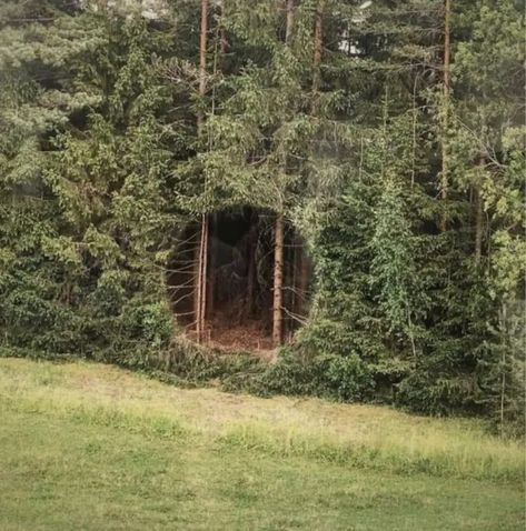 Saatchi Gallery, Conceptual Artist, Land Art, Green Plants, Garden Arch, Interior Exterior, Les Oeuvres, Portal, Outdoor Structures