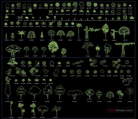 30.Trees AutoCAD blocks free download Autocad Tree Blocks, Autocad Blocks Free Download, Tesla Office, Autocad Trees, Autocad Landscape, Dwg Download Free, Tree Dwg, Autocad Free, Architectural Trees