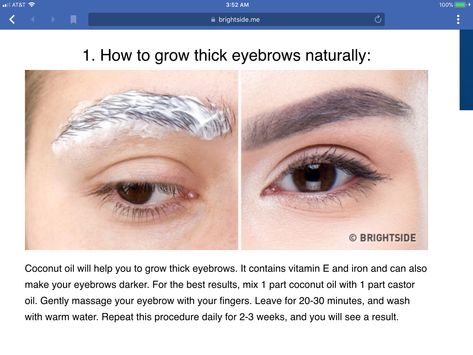 Homemade Eyebrow Thickener Fast Eyebrow Growth, Thicker Brows Naturally, Eyebrow Thickening Remedies, Grow Back Eyebrows, Eyebrow Thickening, Thicken Eyebrows Naturally, Thicken Eyebrows, How To Thicken Eyebrows, Grow Eyebrows Faster