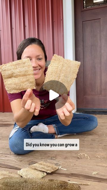 Hydroponic Farming, Hand Carved Teak, Natural Sponge, Loofah Sponge, Homesteading Skills, Outdoor Crafts, Natural Cleaners, Greenhouse Gardening, Monstera Plant