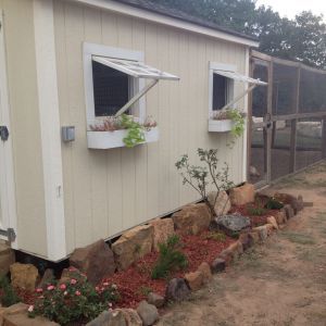 Diy Screen Door For Chicken Coop, Chicken Coop With Old Windows, Chicken Coop Window Ideas, Chicken Coop Front Door, Diy Chicken Coop Windows, Chicken Coop Shutters, Chicken Coop Windows Ideas, Duck Runs, Chicken Coop Windows