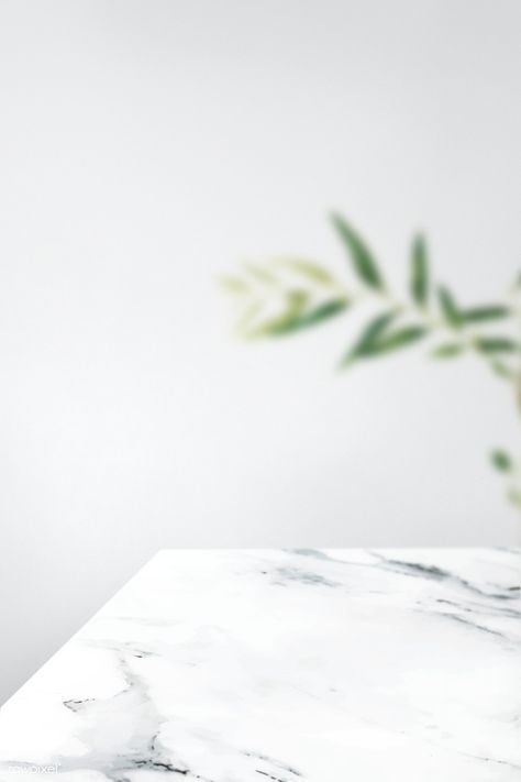 Plain gray wall with leaf and white marble table product background | free image by rawpixel.com Plain Yellow Background, Product Backdrop, Food Background Wallpapers, Photography Backdrops Diy, Product Background, Table Background, Food Background, White Marble Table, Soya Mumu