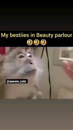 Funny Jokes About Friends, Jokes On Best Friend, Best Frnd Wallpapers, Funny Videos Of Best Friends, Funny Videos About Friends, Tag Your Best Friend Funny Video, 9 Best Friends Pictures, Jokes For Bestie, Funny Videos For Best Friend