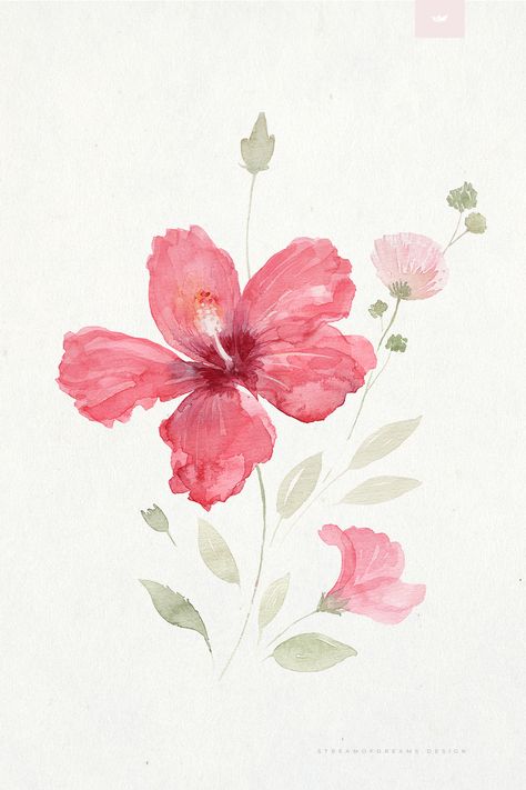 Hibiscus Doodle, Hibiscus Flower Art, Ixora Flower Painting, Hibiscus Painting, Hibiscus Watercolor, Watercolor Hibiscus Flower, Hibiscus Watercolor Tattoo, Paint Hibiscus Flower Easy, Hibiscus Flower Watercolor