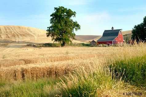 American farmland in Eastern Washington, USA, Nature Landscape photography American Landscape Photography, Farmland Photography, Farmland Landscape, American Countryside, Usa Nature, Nature Landscape Photography, Outdoor Gardens Landscaping, Farm Landscape, Eastern Washington