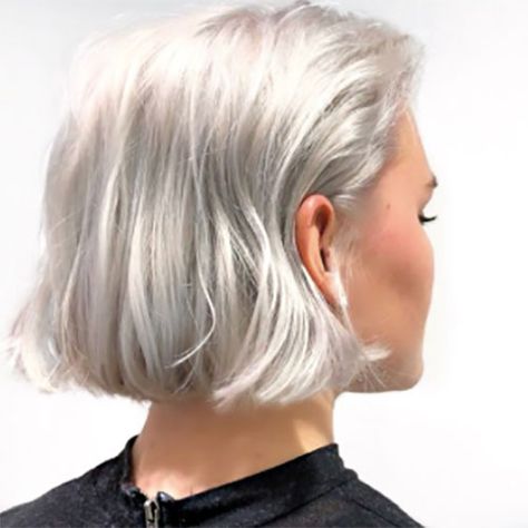 platinum10 Bright Blonde Bob Short, Short Bob White Hair, Platinum Blonde Short Bob, Chin Length Platinum Blonde Hair, Short Hair Platinum Blonde, Total Blonde Hair, Platinum Bob Hair, Short White Blonde Hair, Short Icy Blonde Hair