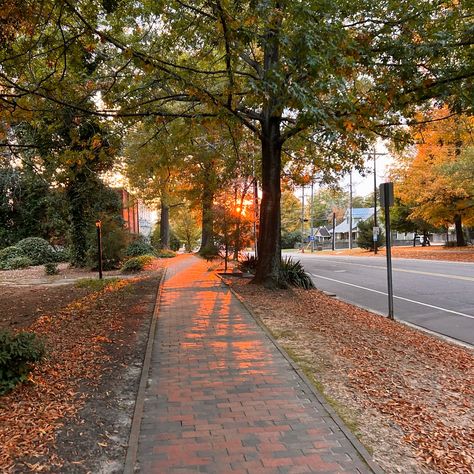 fall in chapel hill🍂🤎 Hill Background, Dancing Through Life, California Vibe, Chapel Hill Nc, Chapel Hill, Grad School, Sabrina Carpenter, Falling In Love, Fall In Love