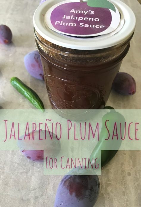 [DISPLAY_ULTIMATE_SOCIAL_ICONS]Our plum orchard is teeming with fruit by the middle of August. This Jalapeno Plum Sauce recipe is always near the top of my list for summertime fruit canning. So, you may know from my previous posts that we have a plum orchard. Or as the locals around here like to say, a prune orchard. These are Italian plum prunes, which are beautiful for drying. They are also extra sweet which makes them excellent for jams and preserves. Because we have so many of these Itali Jalapeno Plum Jam Recipe, Italian Plum Canning Recipes, Plum Pepper Jam, Canning Plum Sauce, Canning Italian Plums, Italian Plum Jam, Italian Prunes Recipes, Plum Jalapeño Jelly, Preserving Italian Plums