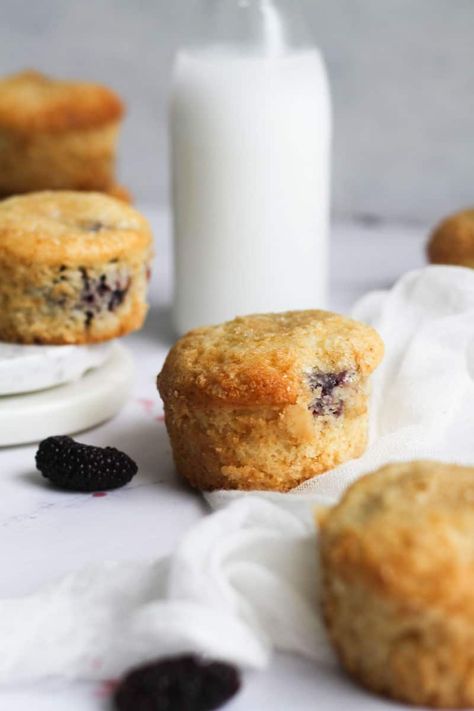 Mulberry Muffins - Modest Munchies Mulberry Muffins, Mulberry Recipes, Cookie Bar Recipes, Recipe Images, Cupcake Muffins, Muffin Pan, Bars Recipes, Dessert Recipes Easy, Easy Desserts