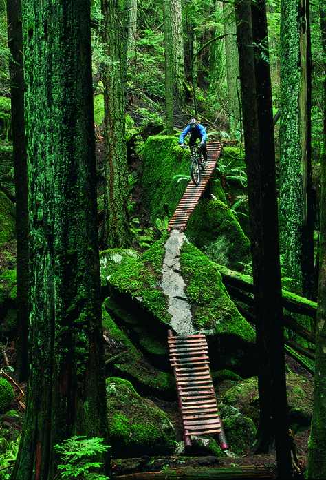 Trail In The Woods, Mt Bike, Mtb Trails, Extreme Adventure, Downhill Mountain Biking, Downhill Bike, Downhill Mtb, Riding A Bike, Mountain Bike Trails