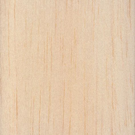 Wood Panel Texture, Wood Texture Seamless, Work Stations, Balsa Wood, Wood Texture, Wood Species, Wood Paneling, Lumber, Types Of Wood