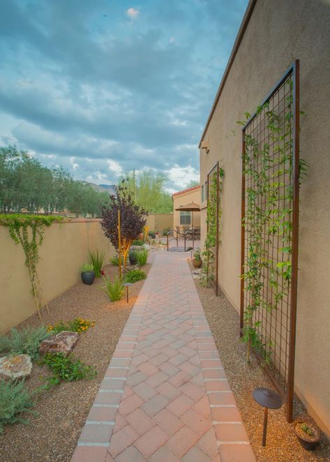 15+ Impressive Side Yard Landscaping Ideas You Have to See – AprylAnn Arizona Backyard, Backyard Walkway, No Grass Backyard, Walkway Landscaping, Side Yard Landscaping, Drought Tolerant Garden, Modern Landscape Design, Easy Landscaping, Landscape Plans