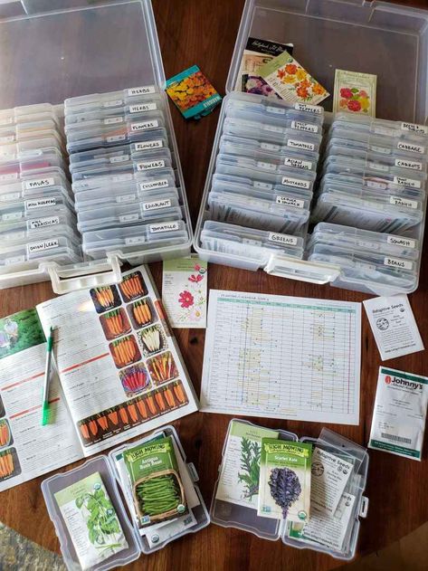 Seed Storage, Planting Calendar, Asian Flowers, Garden Activities, Starting Seeds Indoors, Organization Diy, Garden Journal, Home Vegetable Garden, Island Kitchen