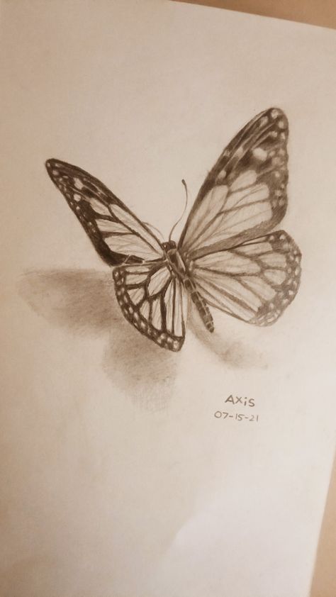 Cute Things To Draw Butterfly, Butterfly Sketch Realistic, Butterfly On Sunflower Drawing, Cute Sketches Butterfly, Butterfly Flying Sketch, Sketch Of A Butterfly, Drawing Inspo Butterfly, Half Flower Half Butterfly Drawing, Butterfly Drawing Detailed