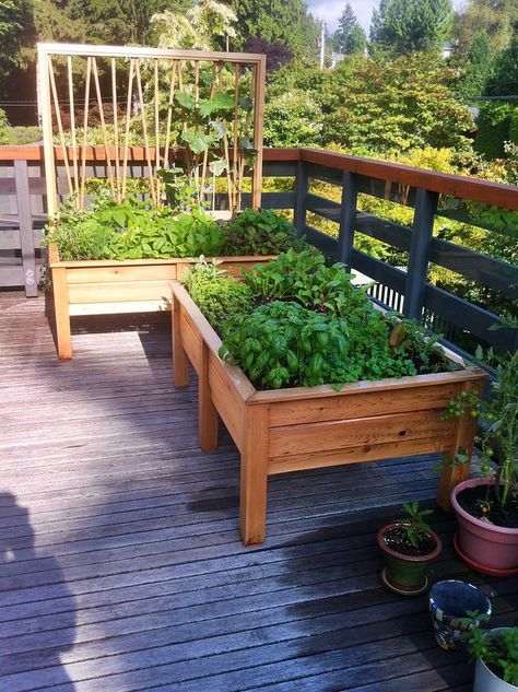 Long Balcony, Drip Irrigation Diy, Custom Planters, Grow Food, Home Vegetable Garden, Charming Garden, Small Space Gardening, Food Garden, Growing Food