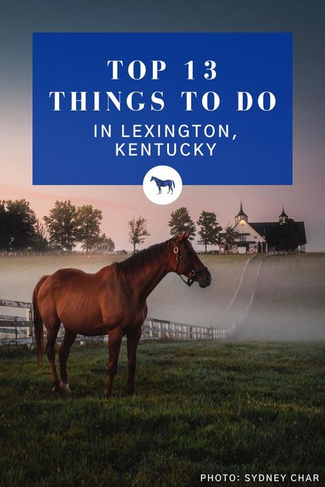 Lexington Va Things To Do, Lexington Kentucky Things To Do, Bourbon Tour, Kentucky Vacation, Kentucky Bourbon Trail, Destination Marketing, Kentucky Bourbon, Lexington Kentucky, Travel Spots