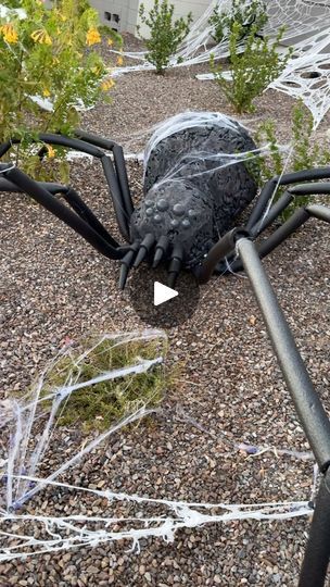 145K views · 52K reactions | I made a giant 12 foot + spider Halloween yard decoration ! 

The whole thing is made out of chicken wire and expanding foam with pipe insulation legs! as I was out in the yard setting up my giant creepy yard decoration when a lady walked past and goes “looks like you need to call a exterminator” 😂 I wonder how many times I’ll hear that this holiday season!? 

I followed along @wickedmakers YouTube video on how to make this one! I got the idea in my head and wasn’t sure how to go about it and I found their videos after a quick search!! 

#diyhomedecor #diyyarddecor #halloweendecor #diyhalloweendecorations #spiderhalloweendecor #diymama #spookydecorations #halloween2024 #halloweenideas | Morgan Renfro | morganzuhmakes · Original audio Diy Yard Decor, Halloween Spider Decorations, Spider Legs, Expanding Foam, Pipe Insulation, Spider Halloween, Outdoor Crafts, Halloween Outdoor, Halloween Yard Decorations