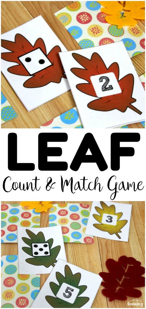 Leave Theme Preschool, Leaves Literacy Activities Preschool, Fall Leaf Counting Preschool, Fall Math Prek, Leaves And Trees Preschool Theme, Leaf Games For Kids, Leaf Math Activities Preschool, Leaf Counting Preschool, Signs Of Fall Preschool