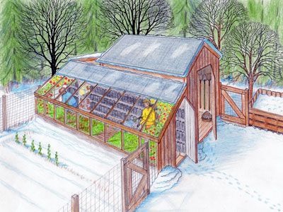 Greenhouse And Chicken Coop, Coops Diy, Coop Plans, Building A Chicken Coop, Greenhouse Plans, Chicken Coop Plans, Diy Greenhouse, Garden Greenhouse, Diy Chicken Coop