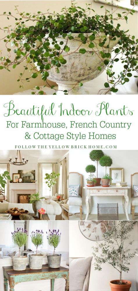 Beautiful Indoor Plants, French Country Rug, French Country Bathroom, Farmhouse French Country, French Country Kitchens, Country Cottage Style, Cottage Style Homes, French Country Farmhouse, Bedroom Decorating Ideas