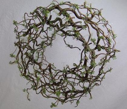 Thorn Wreath, Contorted Filbert, Designer Wreaths, Diy Wedding Magazine, Wreath Workshop, Designer Christmas, Annual Garden, Vine Wreath, Floral Art Design