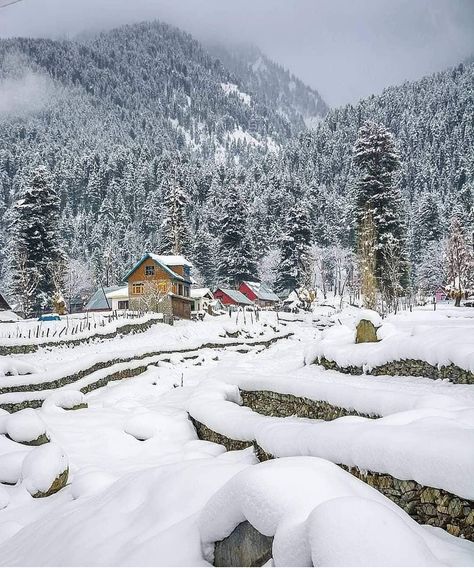 1,822 Likes, 14 Comments - VIEWS OF PAKISTAN 🇵🇰 (@views.of.pakistan) on Instagram: “Follow us @views.of.pakistan . Photo credit : @ DM for credit . Use our hashtag To get Featured :…” Kashmir Winter, Neelam Valley, Kashmir Trip, Kashmir Pakistan, Azad Kashmir, Kashmir India, English Village, Winter Cabin, Winter Beauty