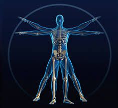 Posturology ? ~ Posturopole Stenosis Exercises, Etheric Body, Vitruvian Man, Human Anatomy And Physiology, Scar Tissue, Body Anatomy, Human Activity, Healthy Bones, Anatomy And Physiology