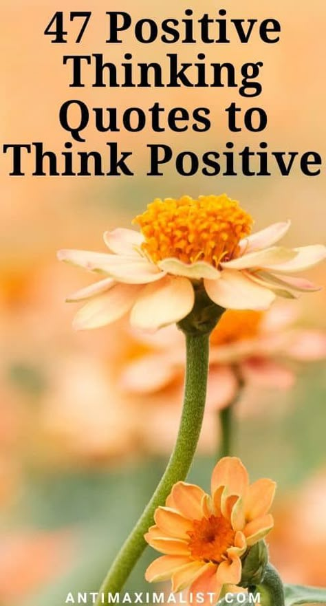 These positive thinking quotes will inspire you to see the bright side of life in 2020. Let these positive quotes keep you encouraged this year. #positivethinkingsquotesgoodvibes #positivequotesforlifehappiness #positivequotesmotivation #positivethinkingquotesgoodvibeslife Positive English Quotes, Quotes For Thinking Of You, Motivational Quotes For Life Positivity Good Vibes, Quotes For The Day Positive, Quotes With All The Positive Vibes, Postive Thought Quote, Positive Thoughts Quotes In English, You Got This Quotes Encouragement, Positive Vibes Quotes Inspiration