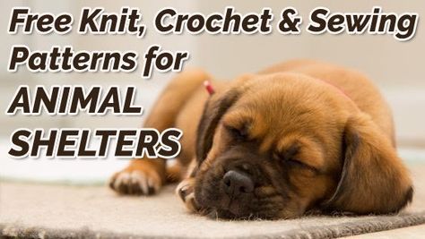 Free Knit, Crochet and Sewing Patterns for Animal Shelters Large Dog Sweaters, Dogs Hugging, Pet Sweaters, Knitting For Charity, Animal Knitting Patterns, Animal Shelters, Animal Blanket, Sewing Stuffed Animals, Sewing Business