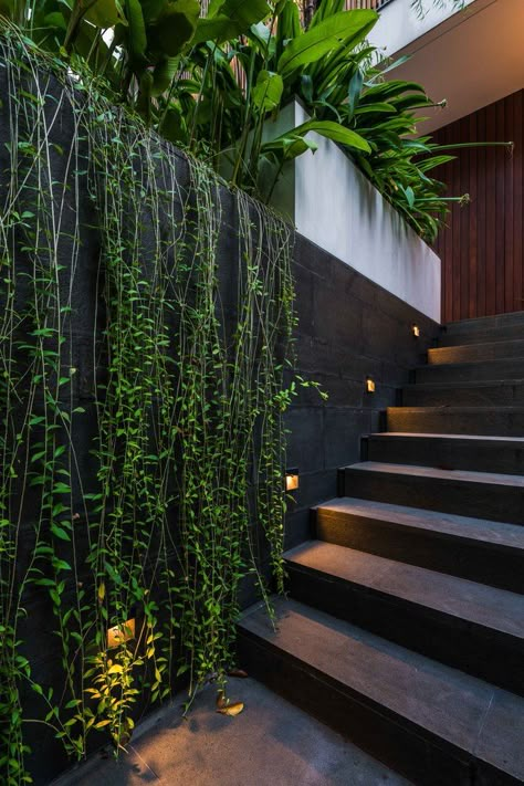 Rock Stairs Outdoor, Modern Tropical House, Balkon Decor, Bali House, Exterior Stairs, House In Nature, Outdoor Stairs, Gardening Flowers, Green Architecture