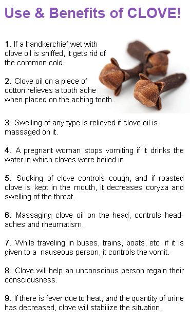 Cloves Spiritual Benefits, River Witch, Clove Oil Benefits, Benefits Of Cloves, Cloves Benefits, Clove Essential Oil, Clove Oil, Essential Oils Herbs, Natural Healing Remedies