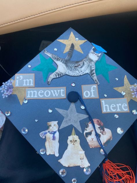 taylor swift confetti, cats, grad cap, graduation cap Creative Grad Cap Ideas, Garfield Graduation Cap, Artistic Graduation Cap, Indie Graduation Cap, Graduation Cap Decoration Taylor Swift, Grad Cap Designs High School 2024, Regular Show Graduation Cap, Punk Graduation Cap, Artsy Graduation Cap