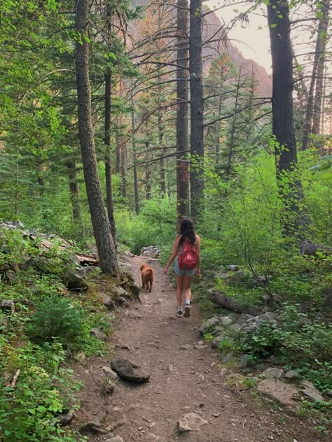 Outdoors, hiking,pine creek, nature, dog, summerhiking outfit, backpacks, Dog In Nature Aesthetic, 2024 Vision Board Hiking, Vision Board Pictures Outdoors, Hiking With Dogs Aesthetic, Dogs Vision Board, Summer Hike Aesthetic, Vision Board Hiking, Dog Hiking Aesthetic, Hiking Vision Board