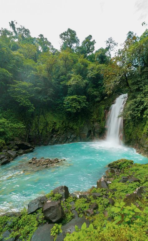 RIO CELESTE HIDEAWAY HOTEL - Updated 2023 Prices & Reviews (Costa Rica/Tenorio Volcano National Park) Rio Celeste Costa Rica, Visit Costa Rica, 1 Hotel, Volcano National Park, Forest View, Guest Experience, 1 Of 1, Outdoor Shower, Volcano