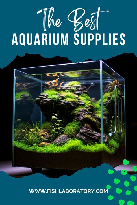 Create the perfect aquascape with all the aquarium supplies you need! Get all your fish tank essentials at our store, including setup and maintenance items. Make sure your aquarium is healthy and thriving by stocking up now! #fishtank #aquariumhobby #aquariumfish #bettafish #aquascape #aquascapeideas #natureaquarium #nanoaquarium #cubeaquascape #coolfishtanks #fishtankthemes Fish Tank Themes, Cool Fish Tanks, Nano Aquarium, Aquarium Supplies, Nature Aquarium, The Aquarium, Pet Care Tips, Planted Aquarium, You Are The World