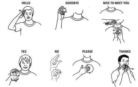 http://hezekiah.hubpages.com/hub/Learn-Sign-Language-On-Line Sign Language Basics, Australian Sign Language, Sign Language Chart, Sign Language For Kids, Hello In Languages, Sign Language Lessons, Sign Language Phrases, Sign Language Interpreter, Sign Language Words