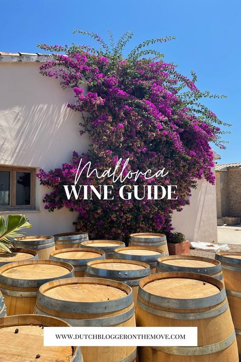 Foodie Photography, Wine Tasting Experience, Wine Guide, Best Street Food, Slow Travel, Food Places, Majorca, Foodie Travel, Oh The Places Youll Go