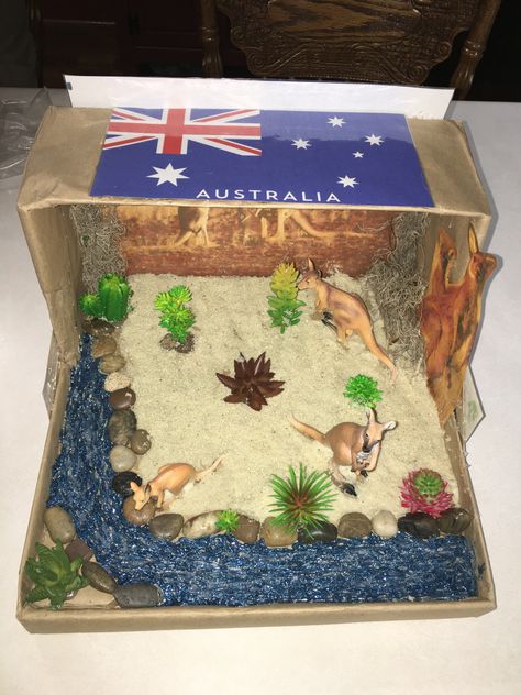 #animalhabitats #kangaroohabitat #kangaroo #kangaroos #australia #australiahabitat #animalproject #schoolprojects #projectsforkids Kangaroo Habitat Project For Kids, Kangaroo Habitat Diorama, Australian Outback Diorama, Australia Diorama, Kangaroo Habitat, Landform Projects, Habitat Project, Australia For Kids, Australia School