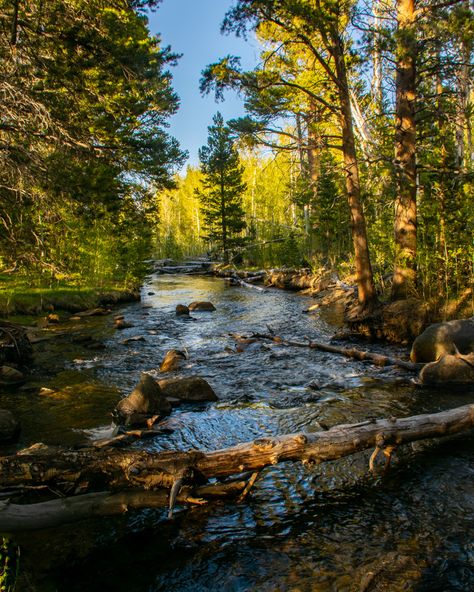 So one of my most favorite things to do is to be in nature. 😍 And the sierras never disappoint.  This is the stream/creek/river, not sure what you would call it that ran right behind the place I set up camp. What would you call it? It was such an amazing area.  Date Taken: 5/22/2020⁠ Location: Eastern Sierras, California⁠ Eastern Sierras, Most Favorite, You Call, In Nature, Favorite Things, Things To Do, Camping, California, Natural Landmarks