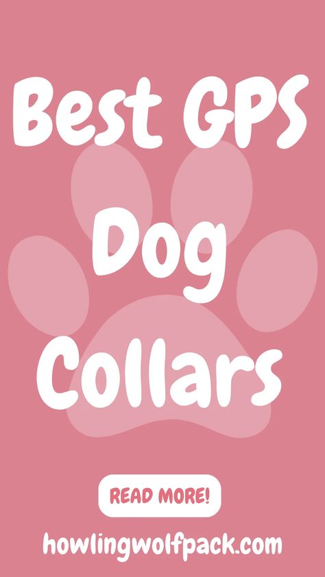 Looking for the best GPS dog collar? Look no further! My comprehensive review guide highlights the best GPS dog collars of 2024, ensuring your pup stays safe and secure. Find the perfect collar to track their whereabouts and provide peace of mind. Don't miss out on this must-have accessory for every dog owner. Get yours now and keep track of those wondering paws! Dog Exercise, Dog Camping, Howling Wolf, Wolf Pack, Dog Owner, Dog Collars, Dog Owners, Peace Of Mind, Dog Collar