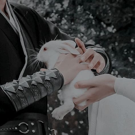 The Untamed Bunnies, The Untamed Aesthetic, Mxtx Icons, Untamed Aesthetic, Chinese Aesthetic, Dark Fairytale, Lan Wangji, Visual Aesthetics, Wang Yibo Xiao Zhan