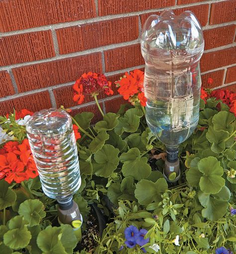 Adjustable-Flow Drip Spike - Lee Valley Tools Self Watering Bottle, Flow Drip, Watering Bulbs, Gardening Products, Plant Watering System, Garden Watering System, Plastic Drink Bottles, Plastic Pop, Lee Valley Tools