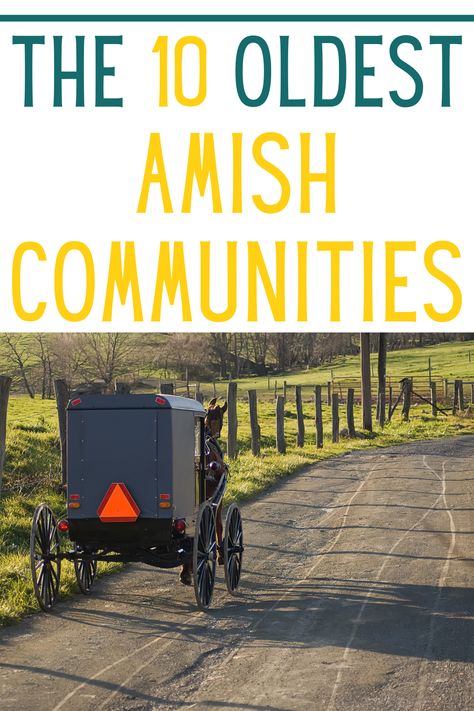 Amish Country Pa, Kalona Iowa, Amish Market, Amish Pennsylvania, Amish Lifestyle, Amish Culture, Amish Life, Lawrence County, Amish Community