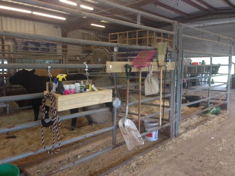 FFA barn heifer stall grooming box and tool hangar Show Box Ideas Livestock Diy, Show Cows Supplies, 4h Stall Signs, Show Barn Ideas Cattle, Show Cattle Barn Layout, Show Box Ideas, Cow Barn Ideas, Show Cattle Barn, Show Heifer