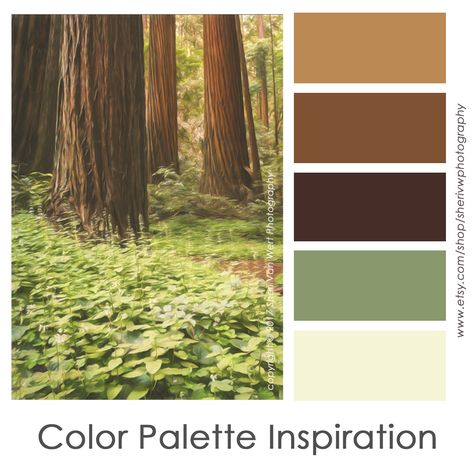 A color palette based on earthy, forest hues from my piece "Redwood Coastal Giants". Redwood Color Palette, Woodland Color Palette, Color Palette Forest, Forest Color Palette, Relaxing Forest, Victorian House Colors, Coastal Redwood, California Redwoods, Woodland Cottage