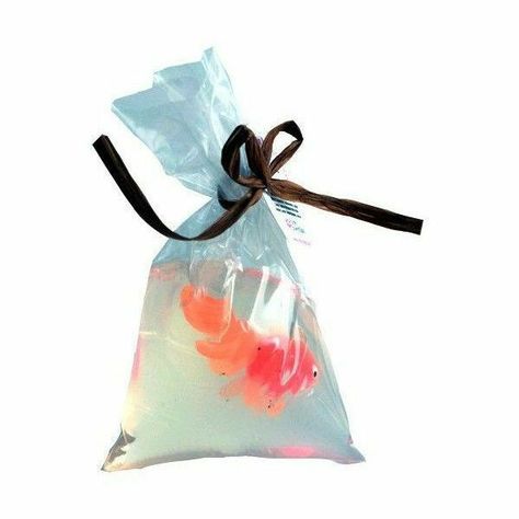 Fish In A Bag Soap, Png Aesthetic, Fish In A Bag, Png Icons, Fashion Collage, Widget Icon, Phone Icon, Phone Themes, Goldfish