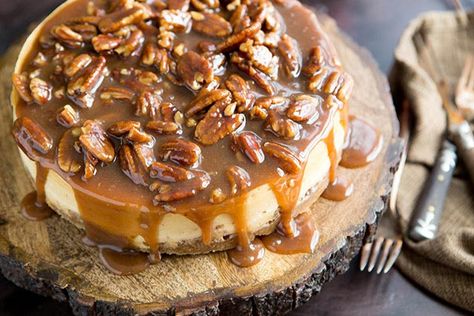 This butter pecan honey cheesecake makes a beautiful addition to any holiday table. Honey Pecan Cheesecake, Bourbon Pecan Cheesecake, Bourbon Pecan Cheesecake Recipes, Maple Cheesecake, Cheesecake Pecan, Honey Cheesecake, Pecan Cheesecake Recipes, Butter Pecan Cheesecake, Cake With Pecans