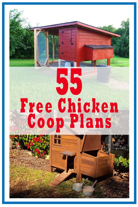 Free Chicken Coop, Easy Diy Chicken Coop, Chicken Coop Ideas, Chicken Coop Plans Free, Chicken Coop Blueprints, Urban Chicken Farming, Easy Chicken Coop, Portable Chicken Coop, Backyard Chicken Coop Plans