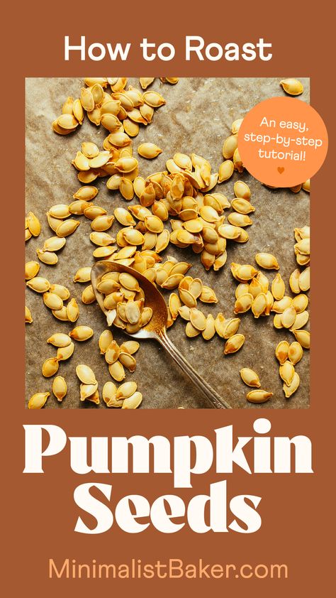 An easy, step-by-step tutorial on how to roast your own pumpkin seeds! A delicious high-protein, nutritious snack to enjoy throughout squash season. Making Pumpkin Seeds, Easy Pumpkin Seeds, How To Roast Pumpkin, Homemade Pumpkin Seeds, Pumpkin Foods, Healthy Fall Snacks, Roast Pumpkin Seeds, Air Fryer Recipes Keto, Pumpkin Seed Recipes