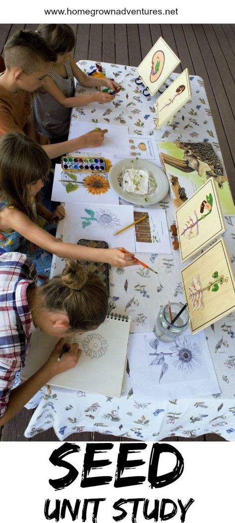 Exploring Seeds Preschool, Seeds Unit Study, Seed Projects For Preschoolers, Enwc Seed Week, Seed Unit Study, Horticulture Activities, Seeds Activities, Seed Activities For Kids, Therapeutic Horticulture